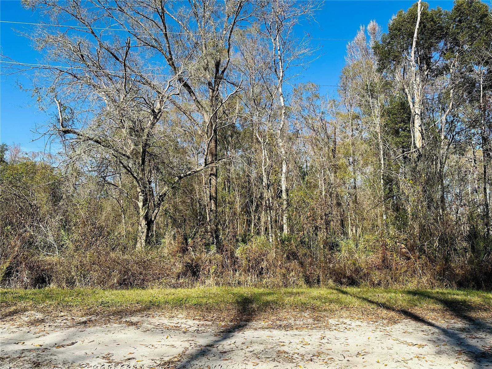 4790 ALVIN ST, HASTINGS, FL, 32145
