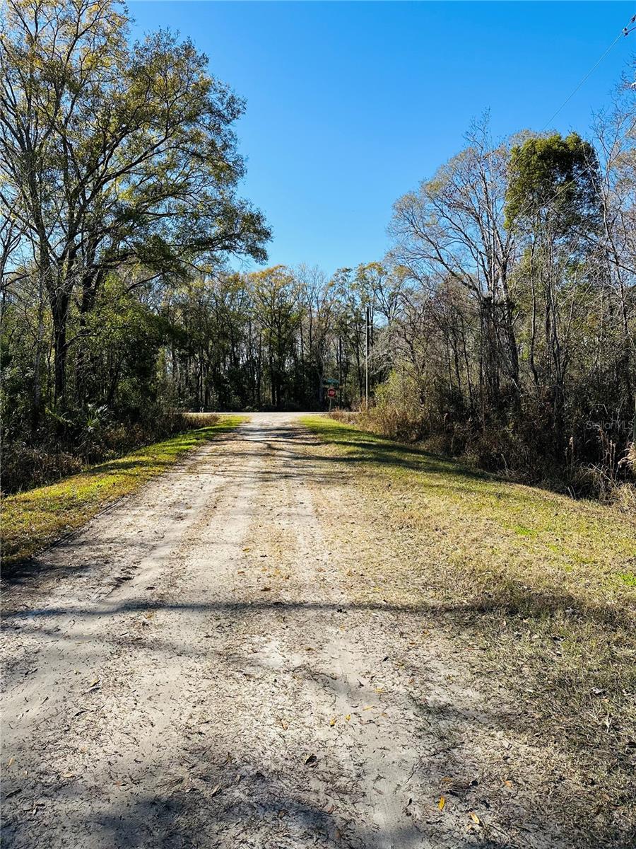 4790 ALVIN ST, HASTINGS, FL, 32145