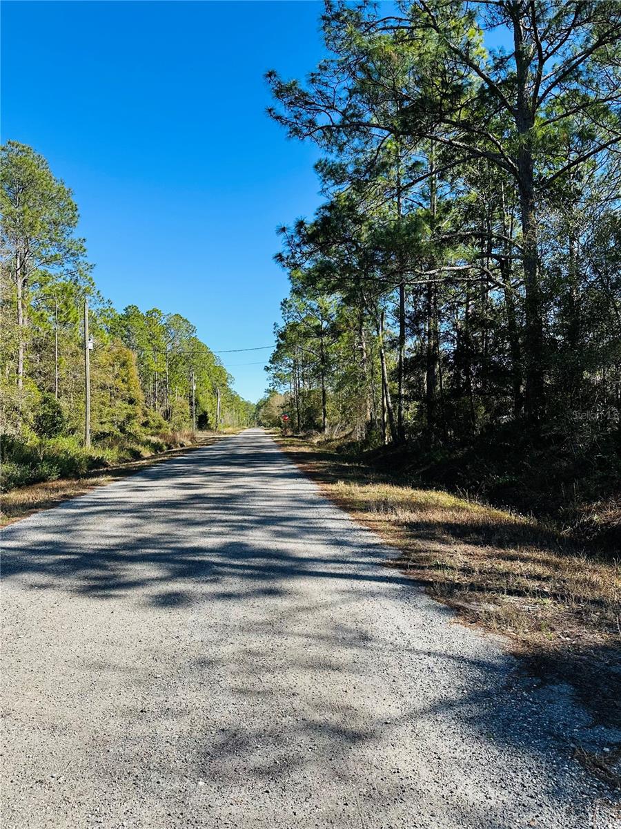 4315 THERESA ST, HASTINGS, FL, 32145
