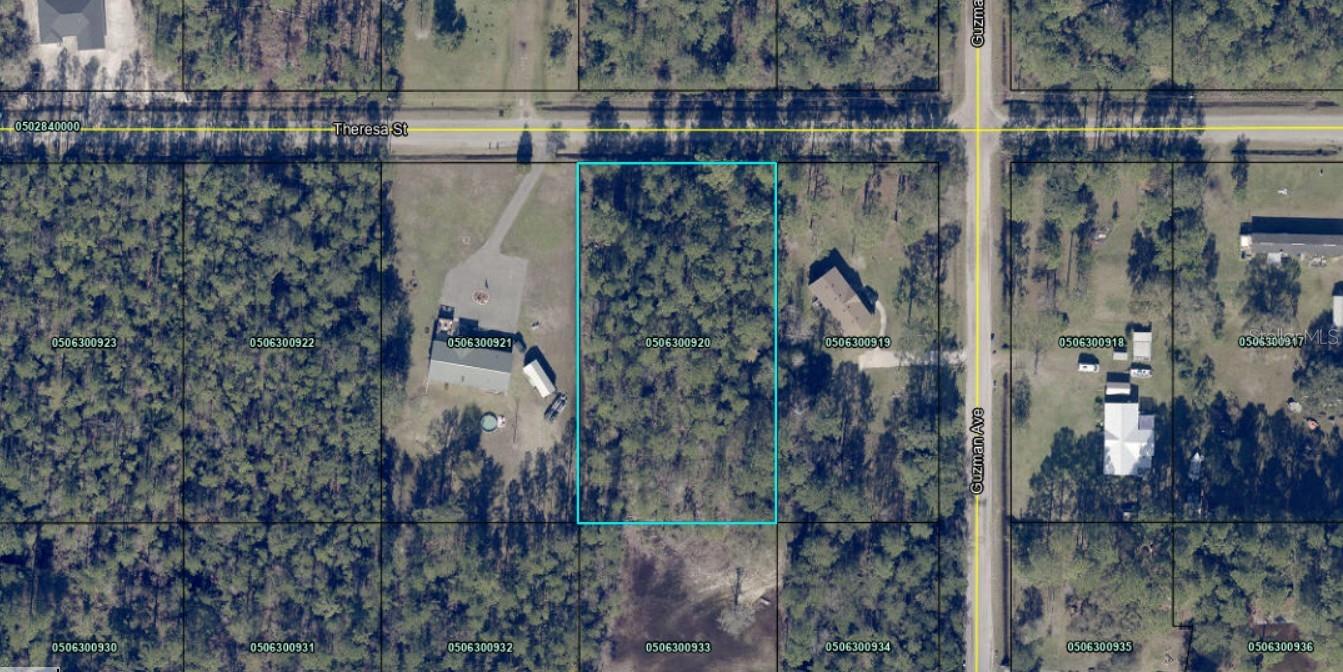 4315 THERESA ST, HASTINGS, FL, 32145