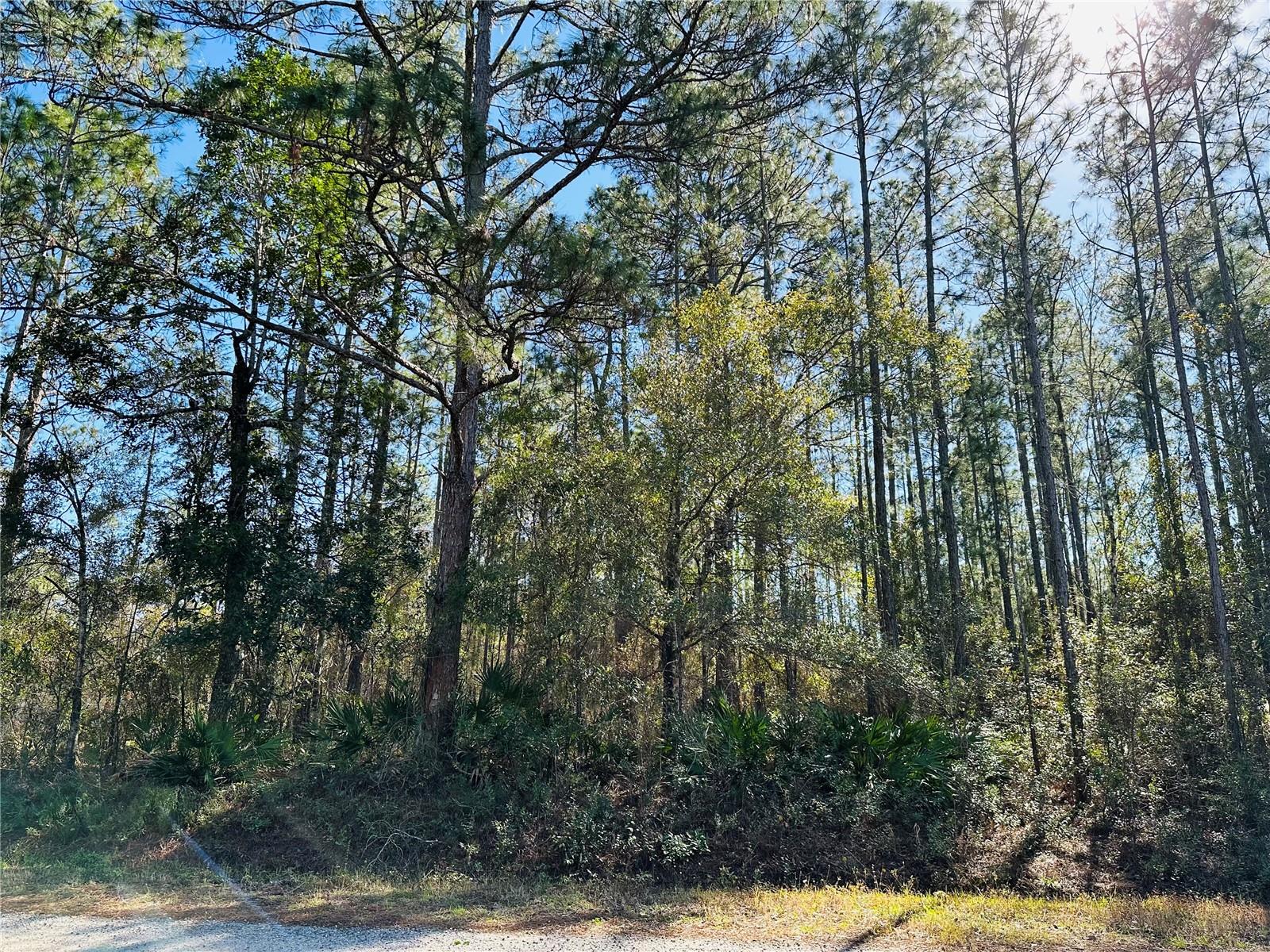 4315 THERESA ST, HASTINGS, FL, 32145
