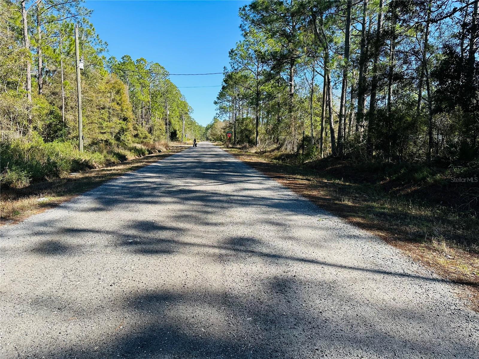 4315 THERESA ST, HASTINGS, FL, 32145