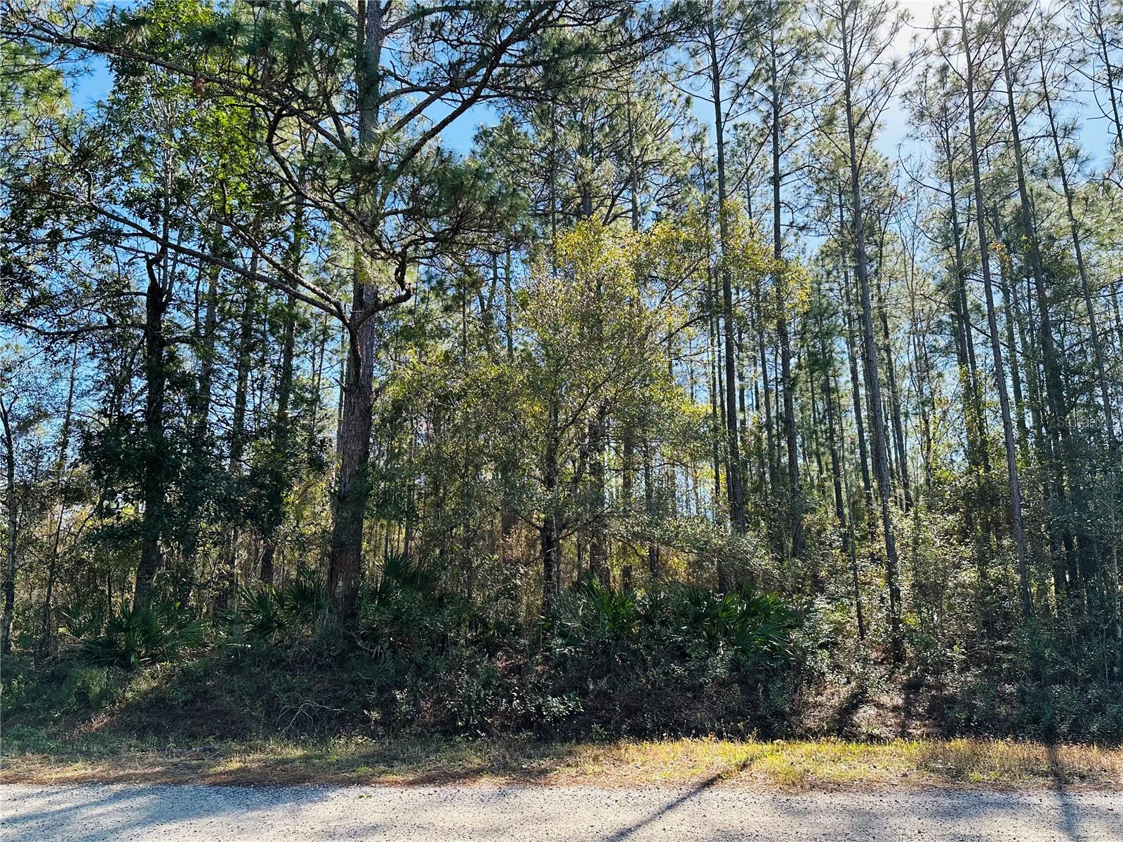 4315 THERESA ST, HASTINGS, FL, 32145