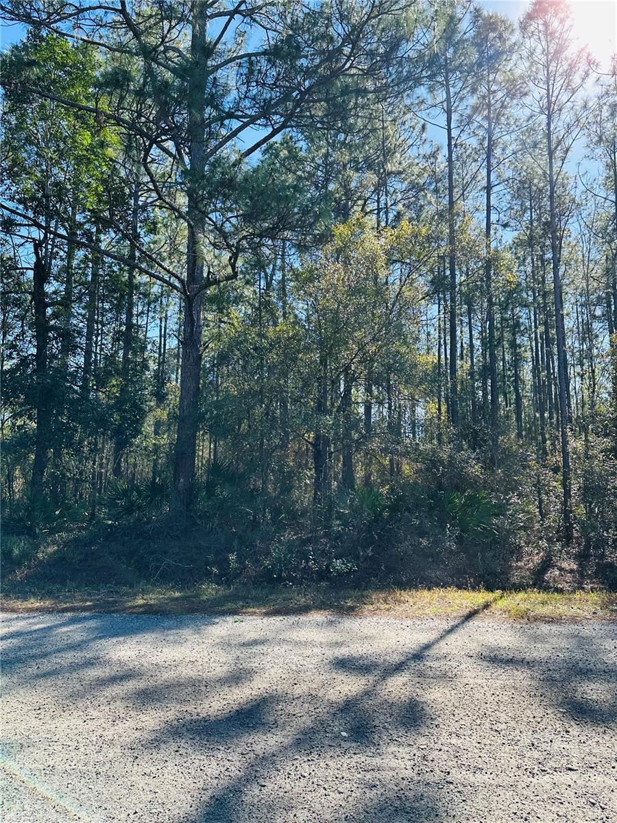 4315 THERESA ST, HASTINGS, FL, 32145