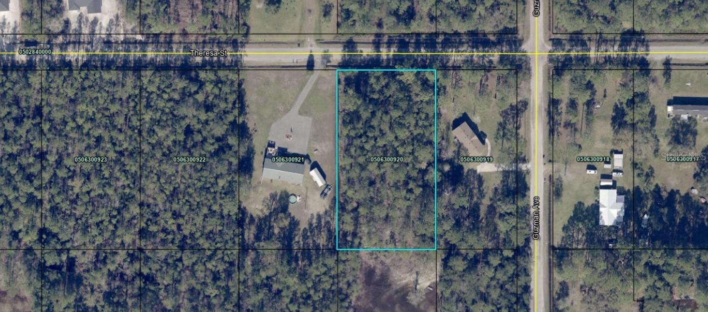 4315 THERESA ST, HASTINGS, FL, 32145