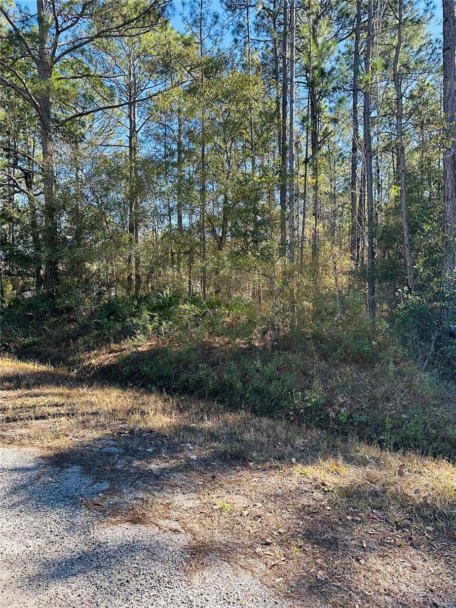 4315 THERESA ST, HASTINGS, FL, 32145