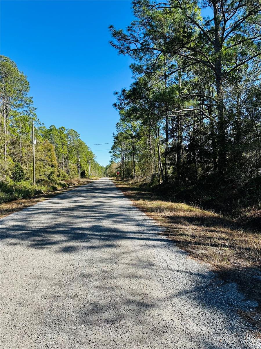 4315 THERESA ST, HASTINGS, FL, 32145