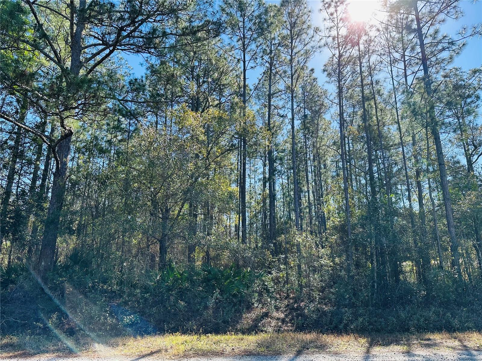 4315 THERESA ST, HASTINGS, FL, 32145