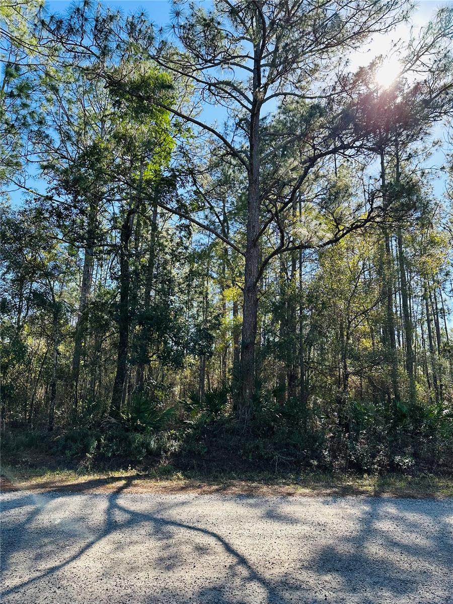 4315 THERESA ST, HASTINGS, FL, 32145