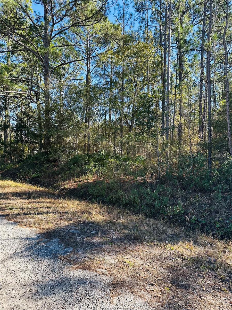 4315 THERESA ST, HASTINGS, FL, 32145