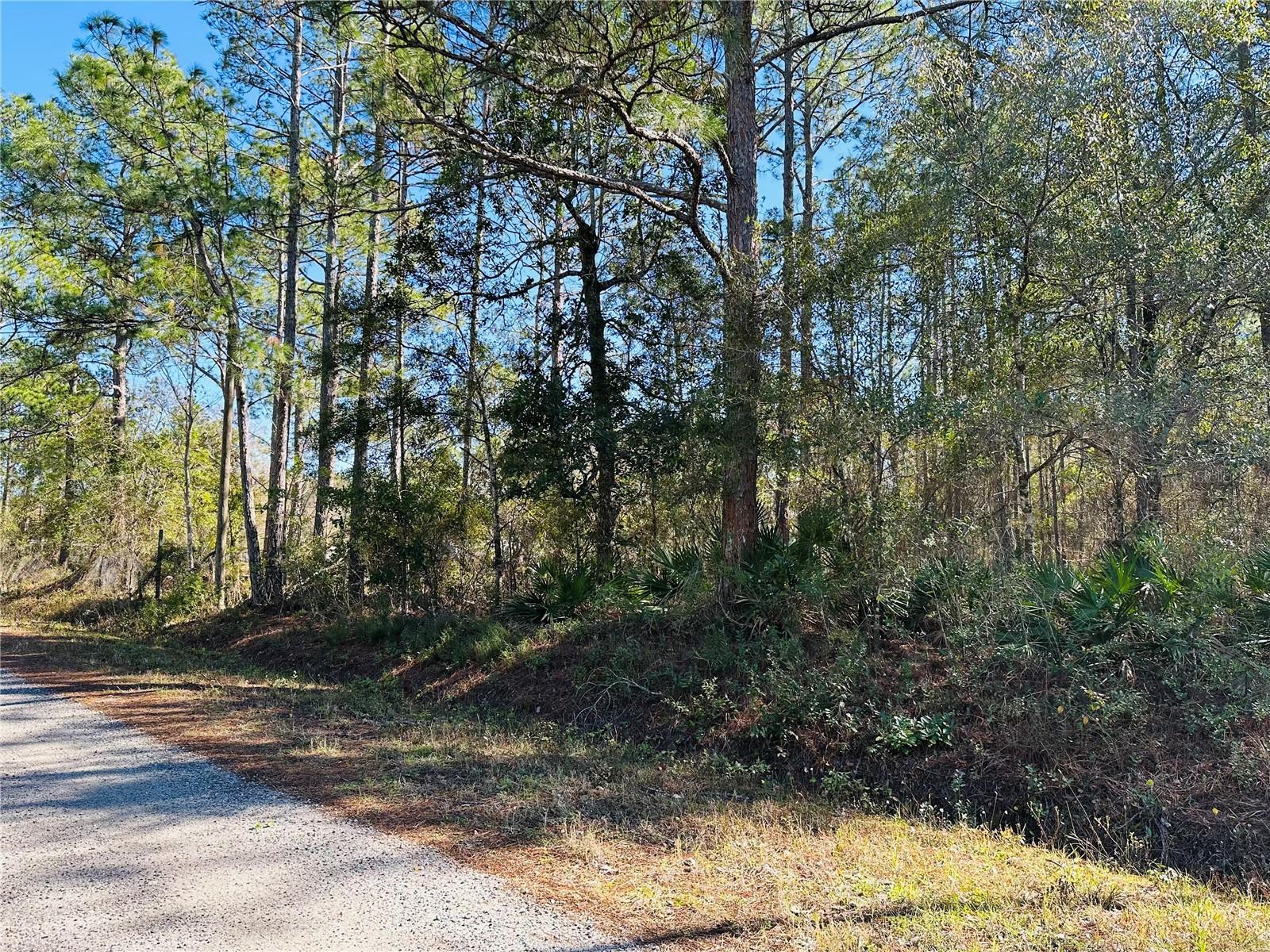 4315 THERESA ST, HASTINGS, FL, 32145
