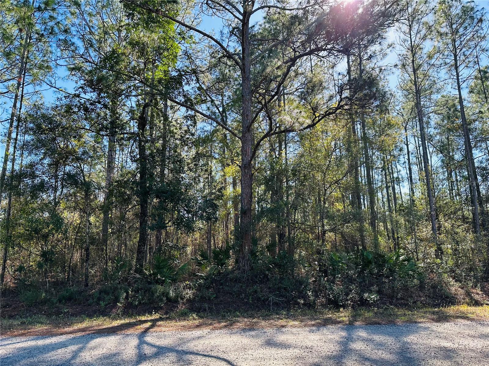 4315 THERESA ST, HASTINGS, FL, 32145