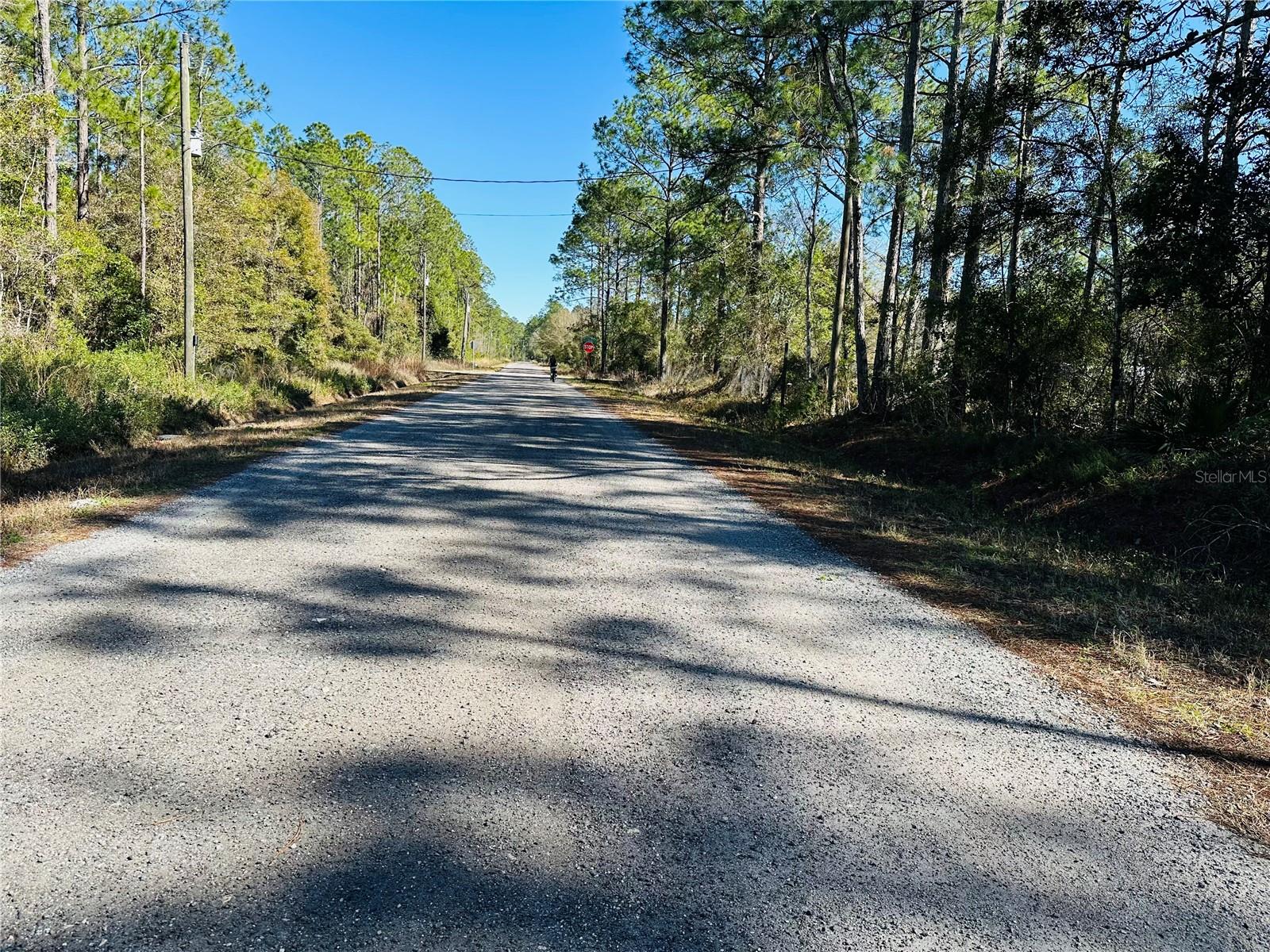 4315 THERESA ST, HASTINGS, FL, 32145