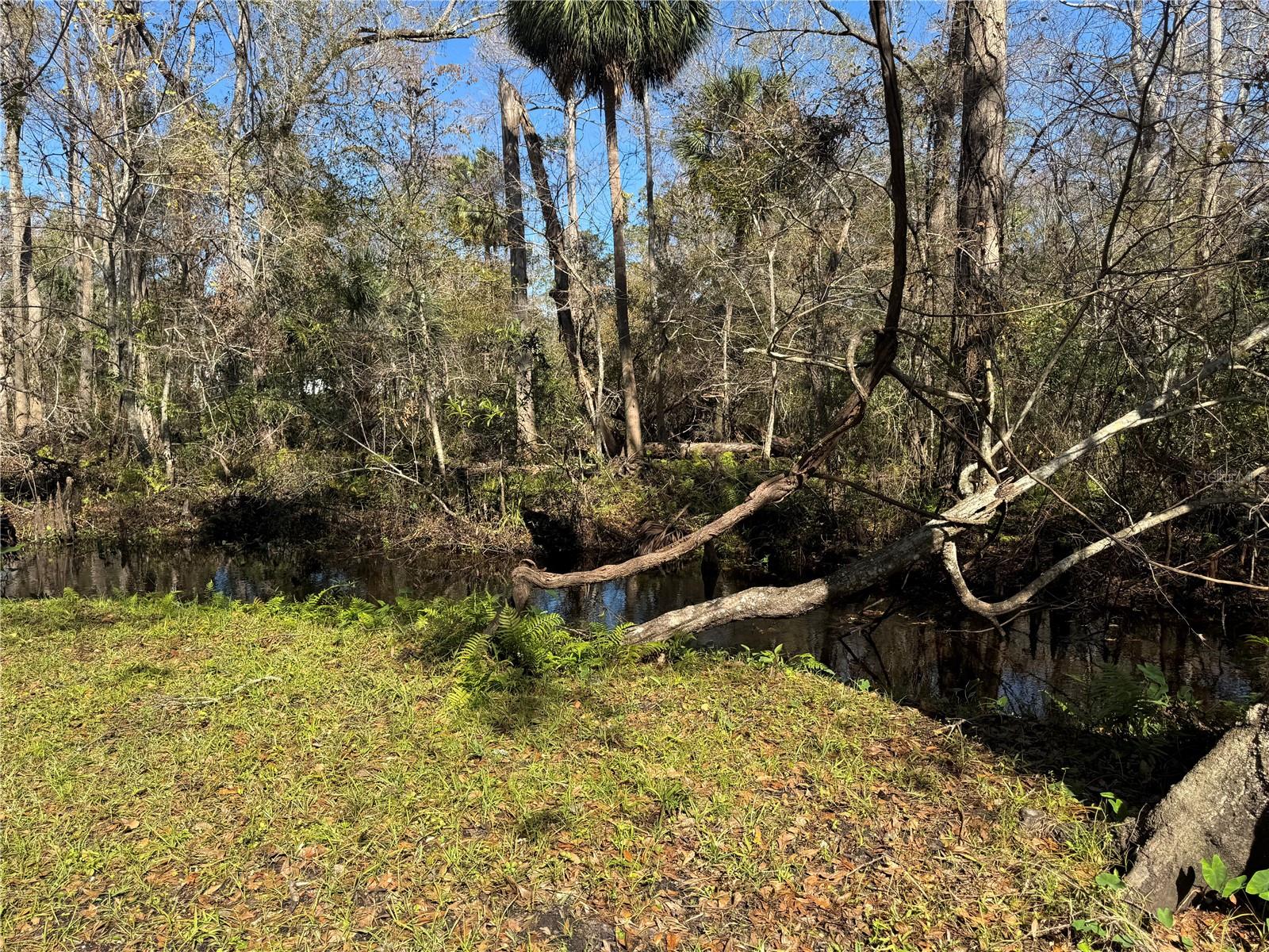 9741 STAR TRL, NEW PORT RICHEY, FL, 34654