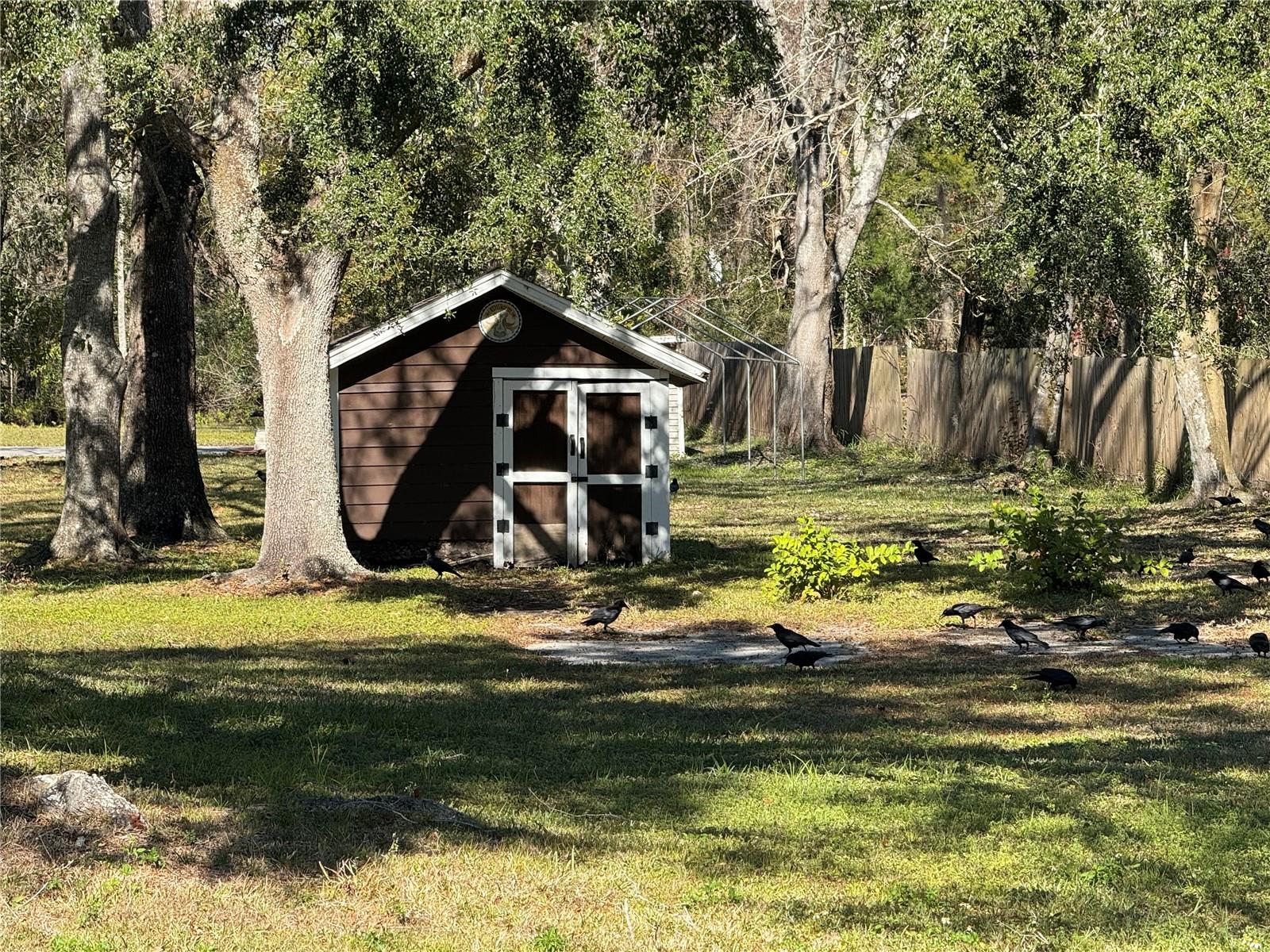 9741 STAR TRL, NEW PORT RICHEY, FL, 34654