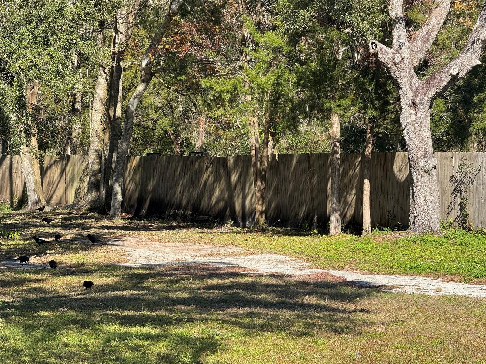9741 STAR TRL, NEW PORT RICHEY, FL, 34654
