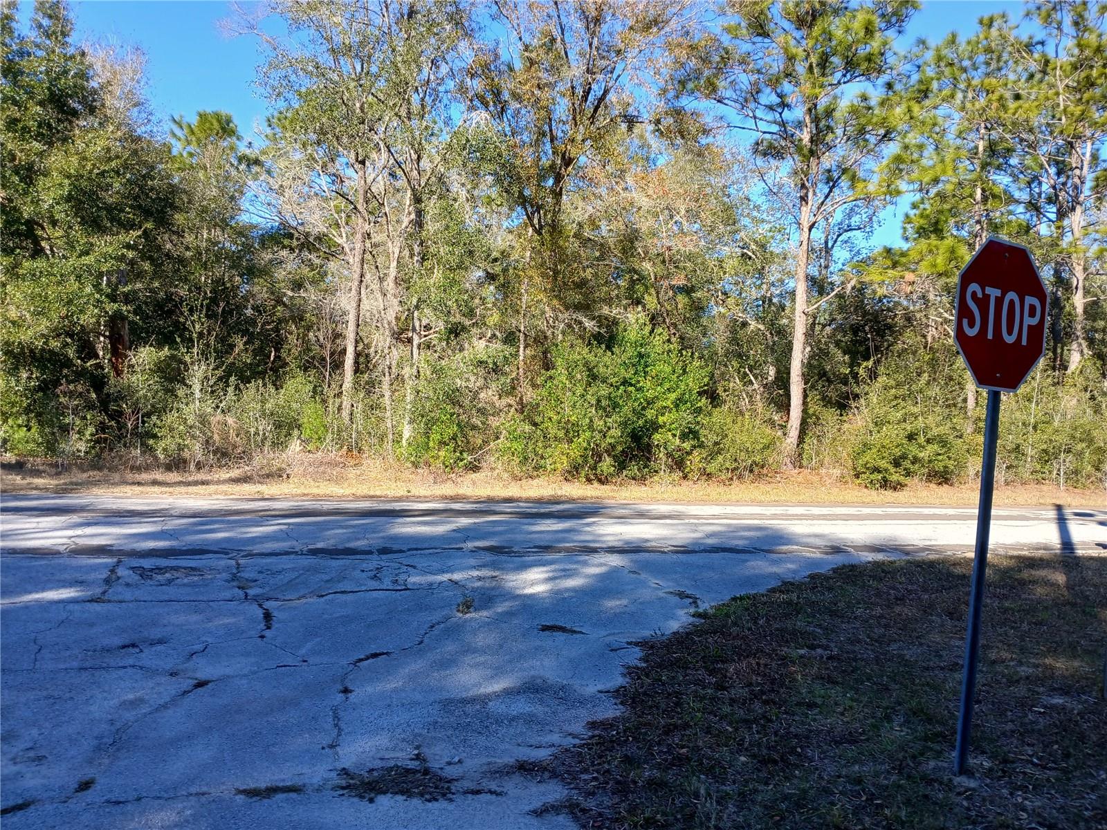 9545 N MITCHELLE DR, CITRUS SPRINGS, FL, 34434