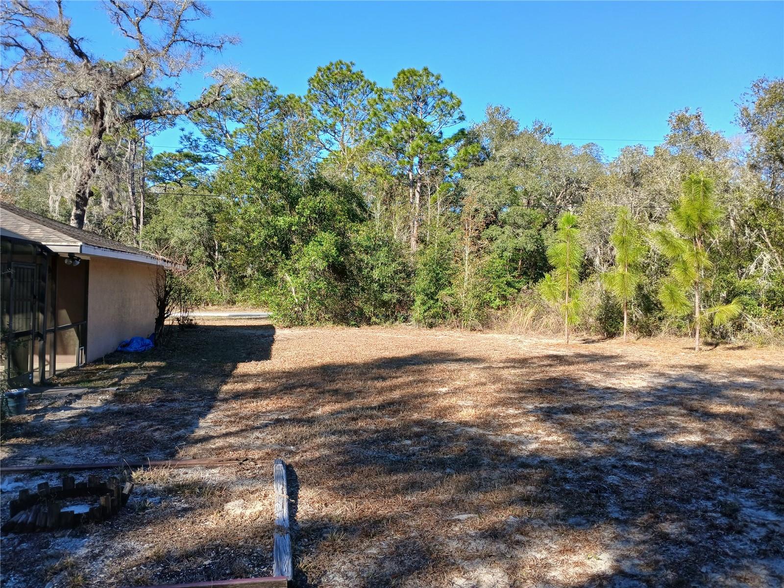 9545 N MITCHELLE DR, CITRUS SPRINGS, FL, 34434