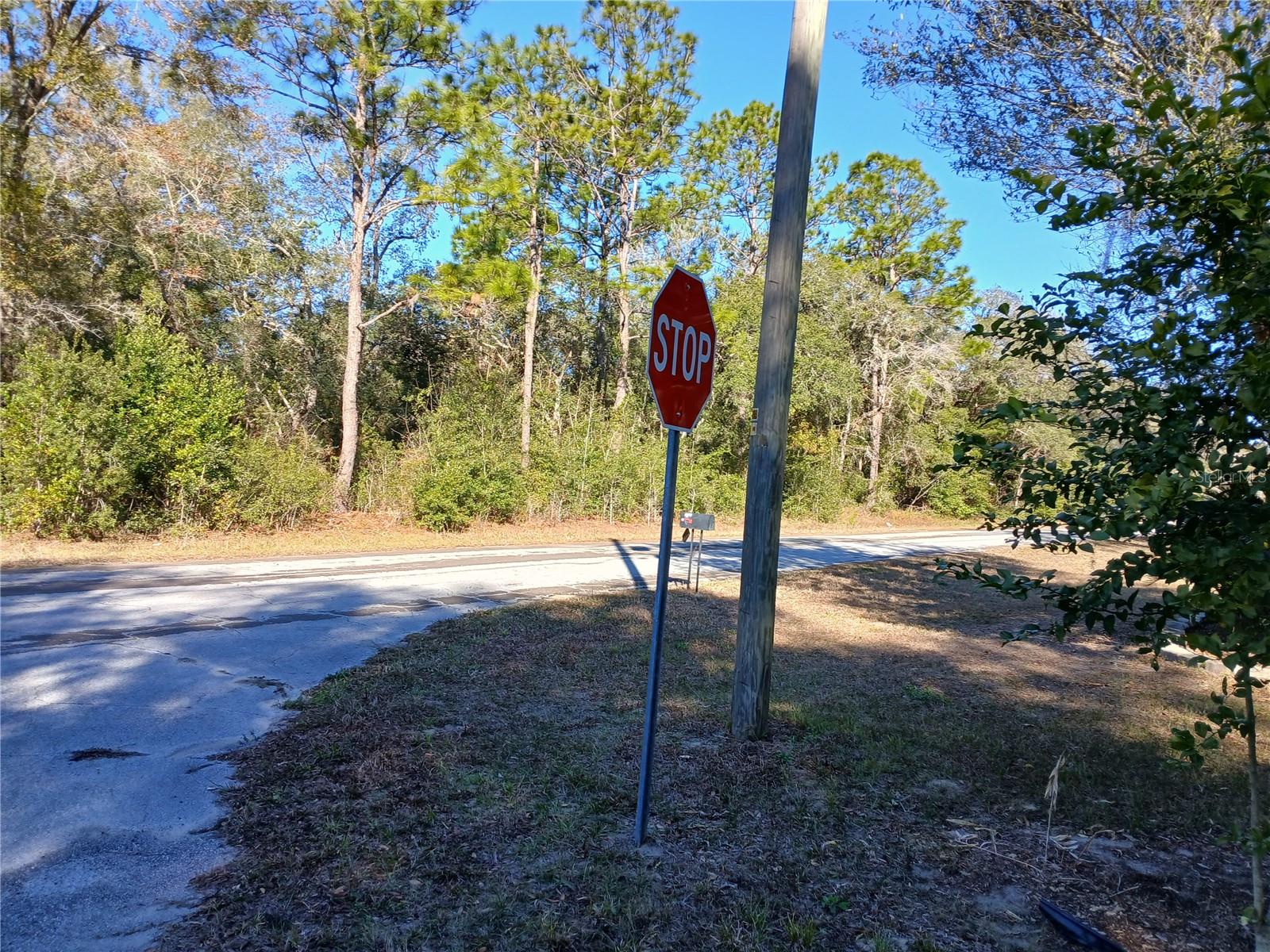 9545 N MITCHELLE DR, CITRUS SPRINGS, FL, 34434