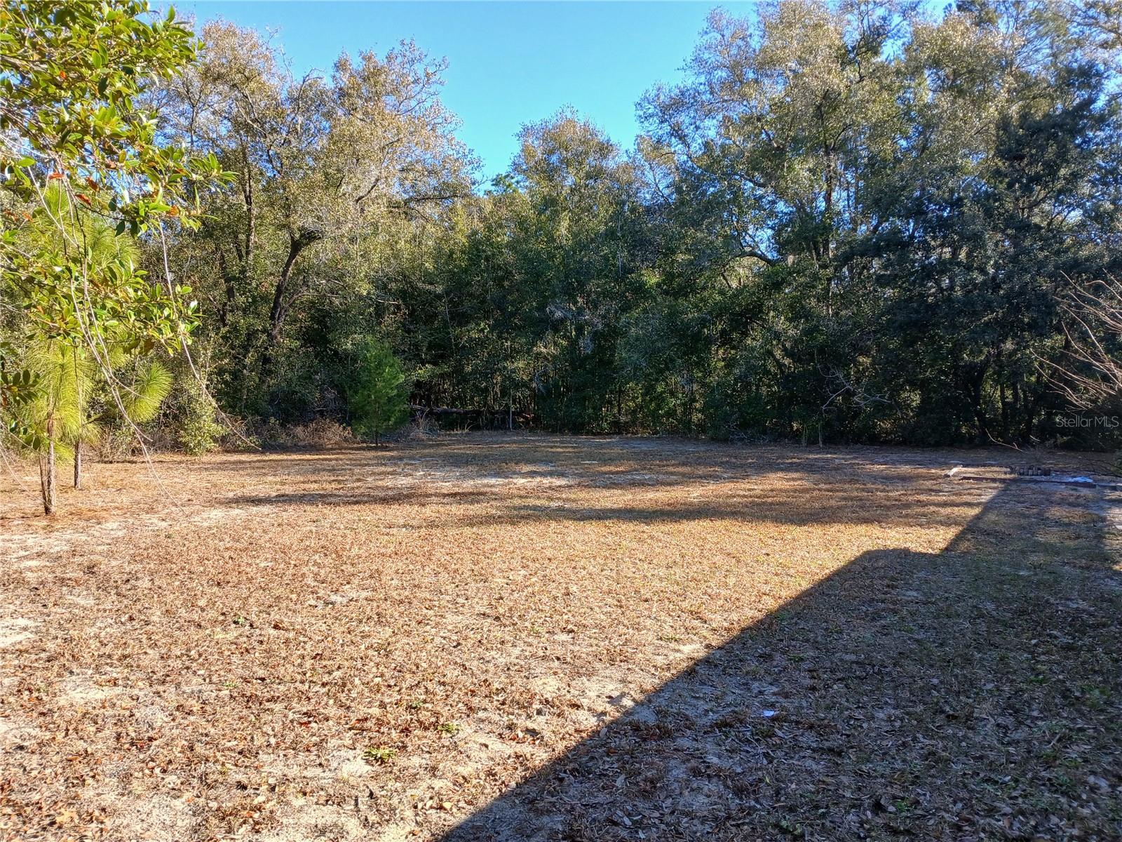 9545 N MITCHELLE DR, CITRUS SPRINGS, FL, 34434