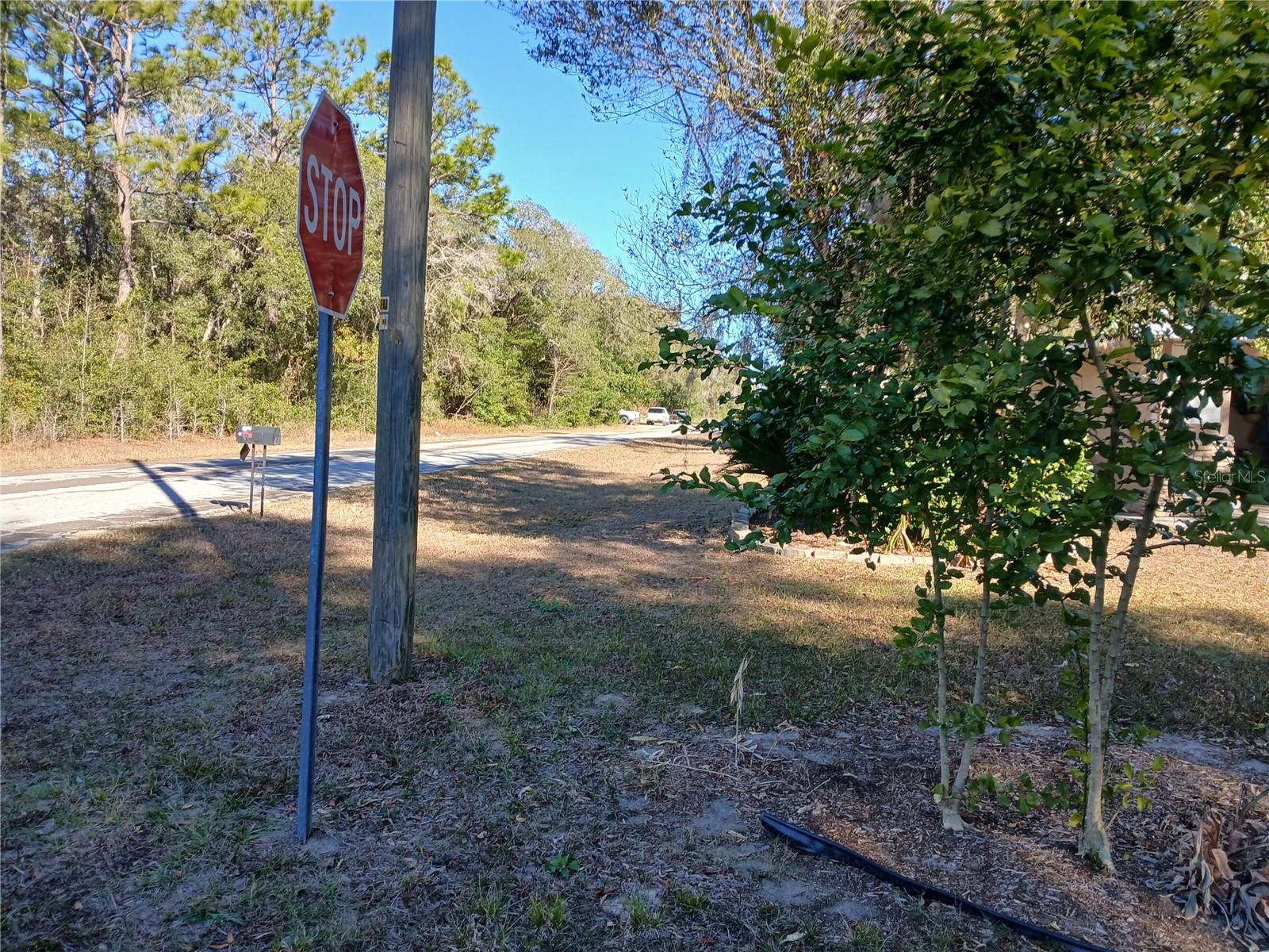 9545 N MITCHELLE DR, CITRUS SPRINGS, FL, 34434