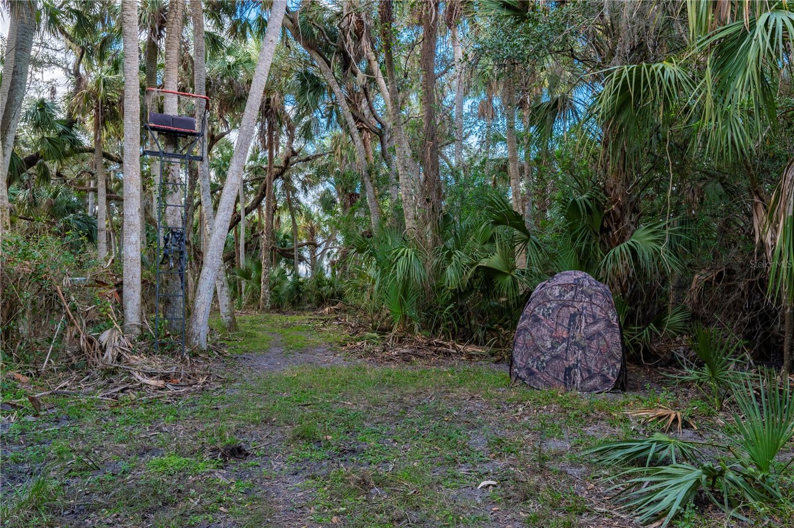 ARCADIA, FL, 34269