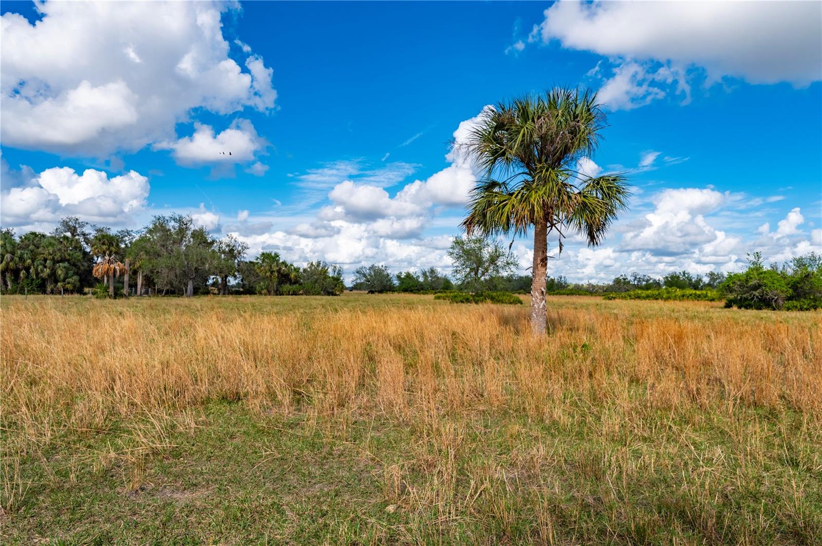 ARCADIA, FL, 34269