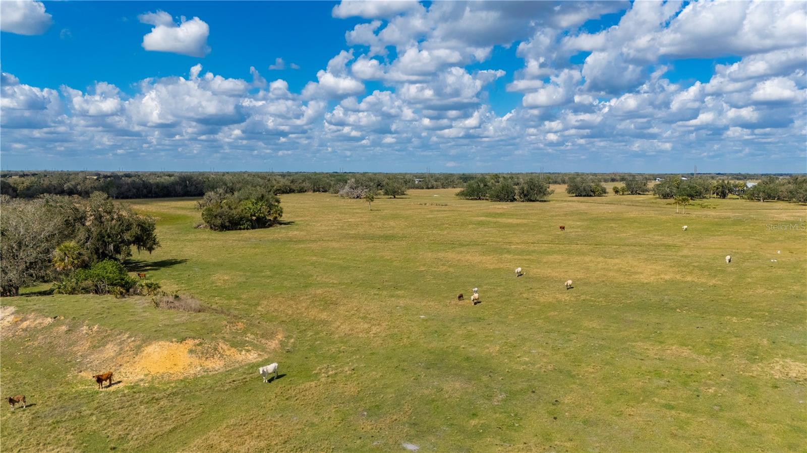 ARCADIA, FL, 34269