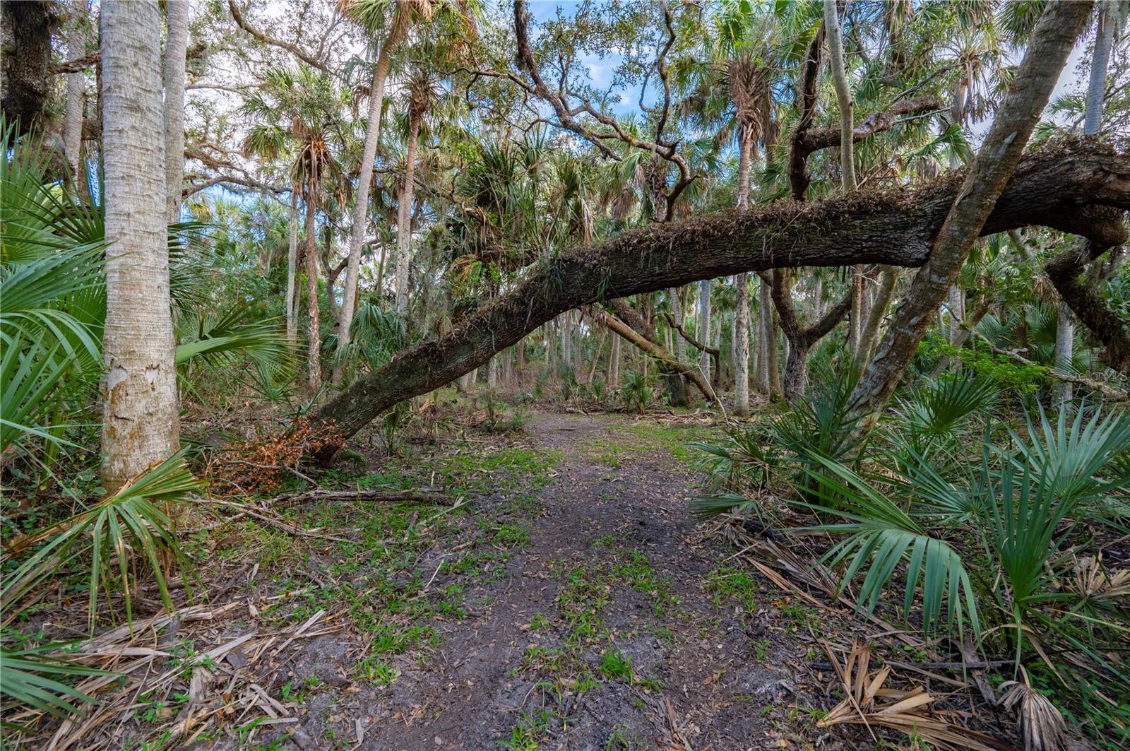 ARCADIA, FL, 34269