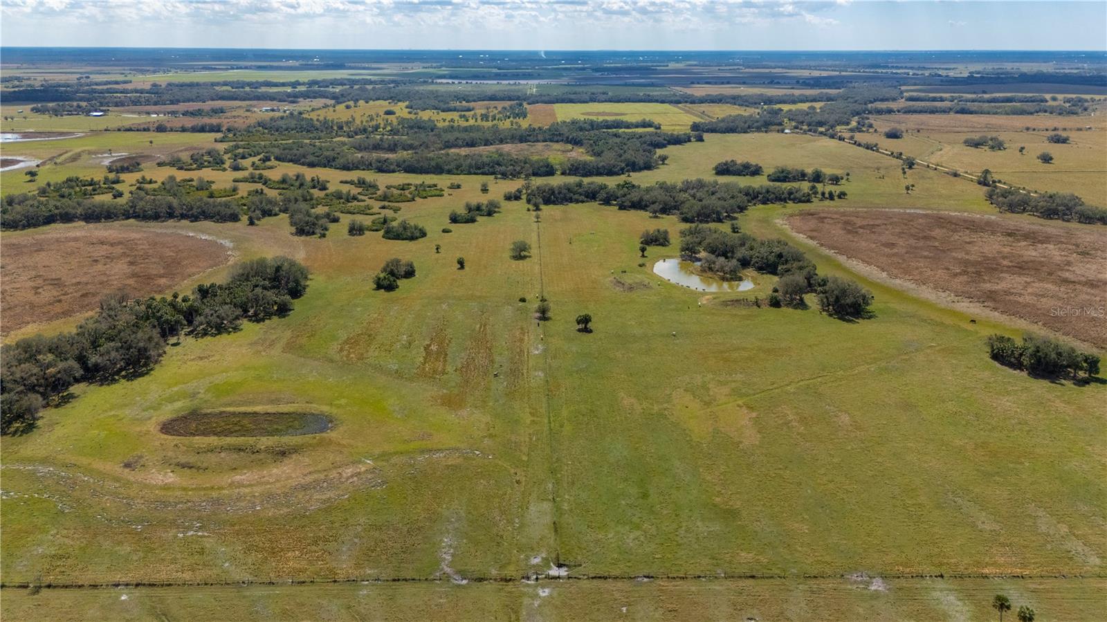 ARCADIA, FL, 34269