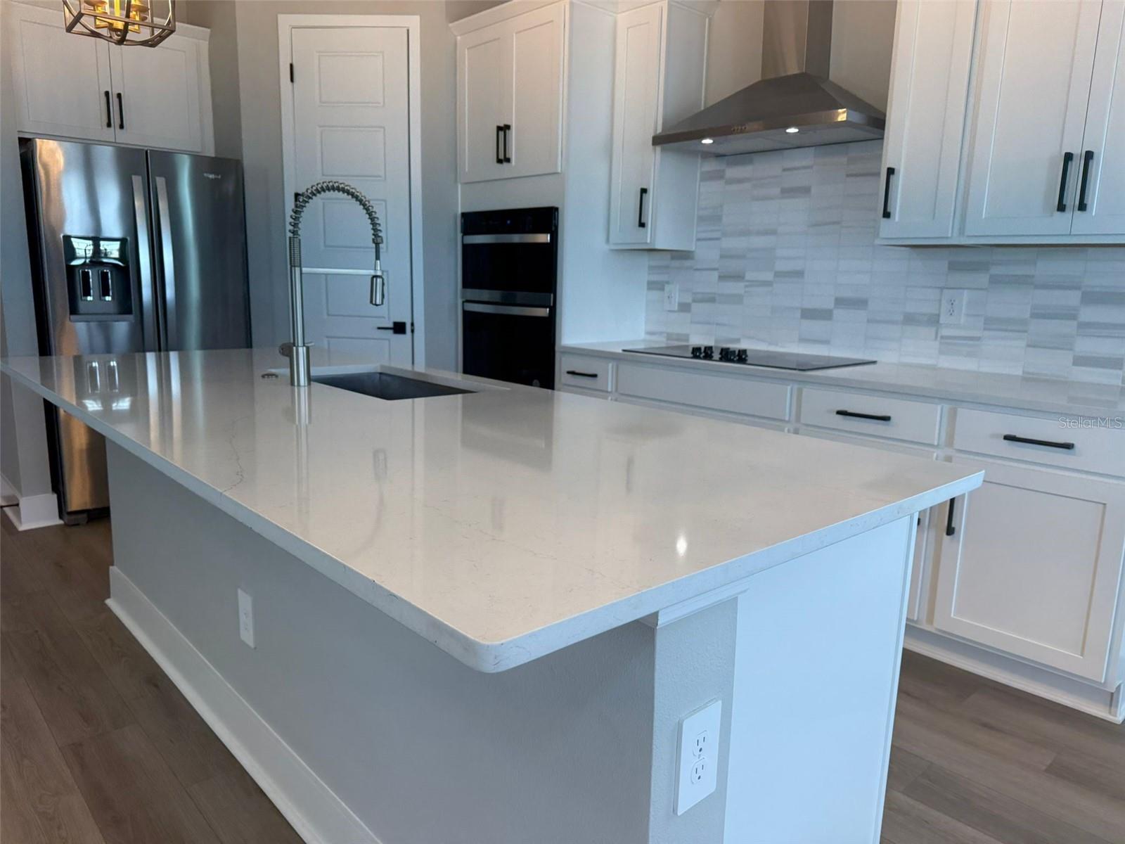 5009 RAILROAD VINE ALY, WINTER GARDEN, FL, 34787