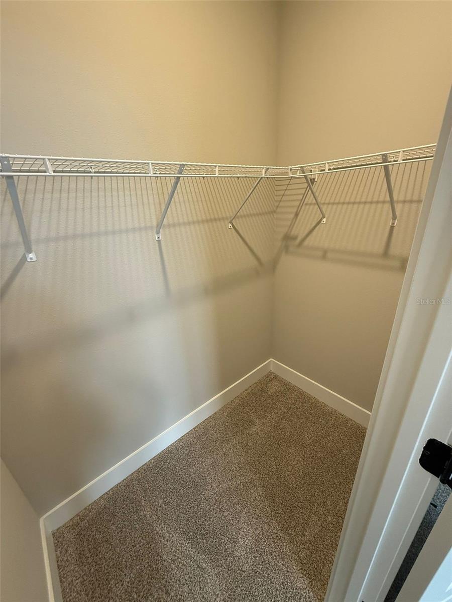 5009 RAILROAD VINE ALY, WINTER GARDEN, FL, 34787