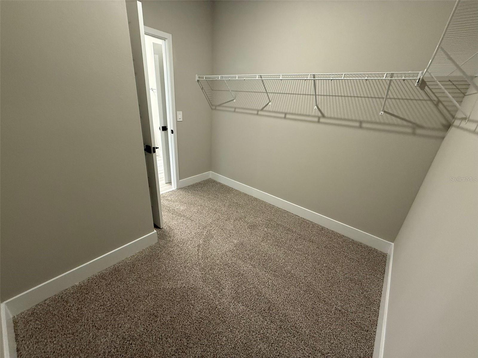 5009 RAILROAD VINE ALY, WINTER GARDEN, FL, 34787