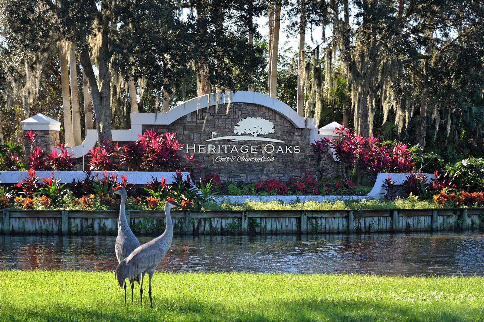 5250 HYLAND HILLS AVE #1515, SARASOTA, FL, 34241