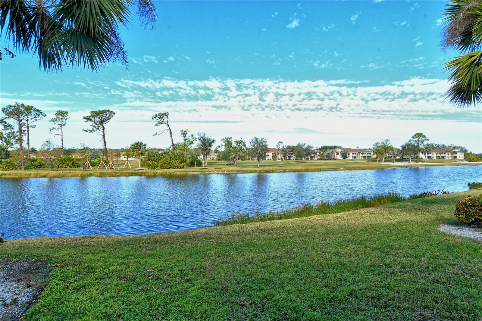 5250 HYLAND HILLS AVE #1515, SARASOTA, FL, 34241