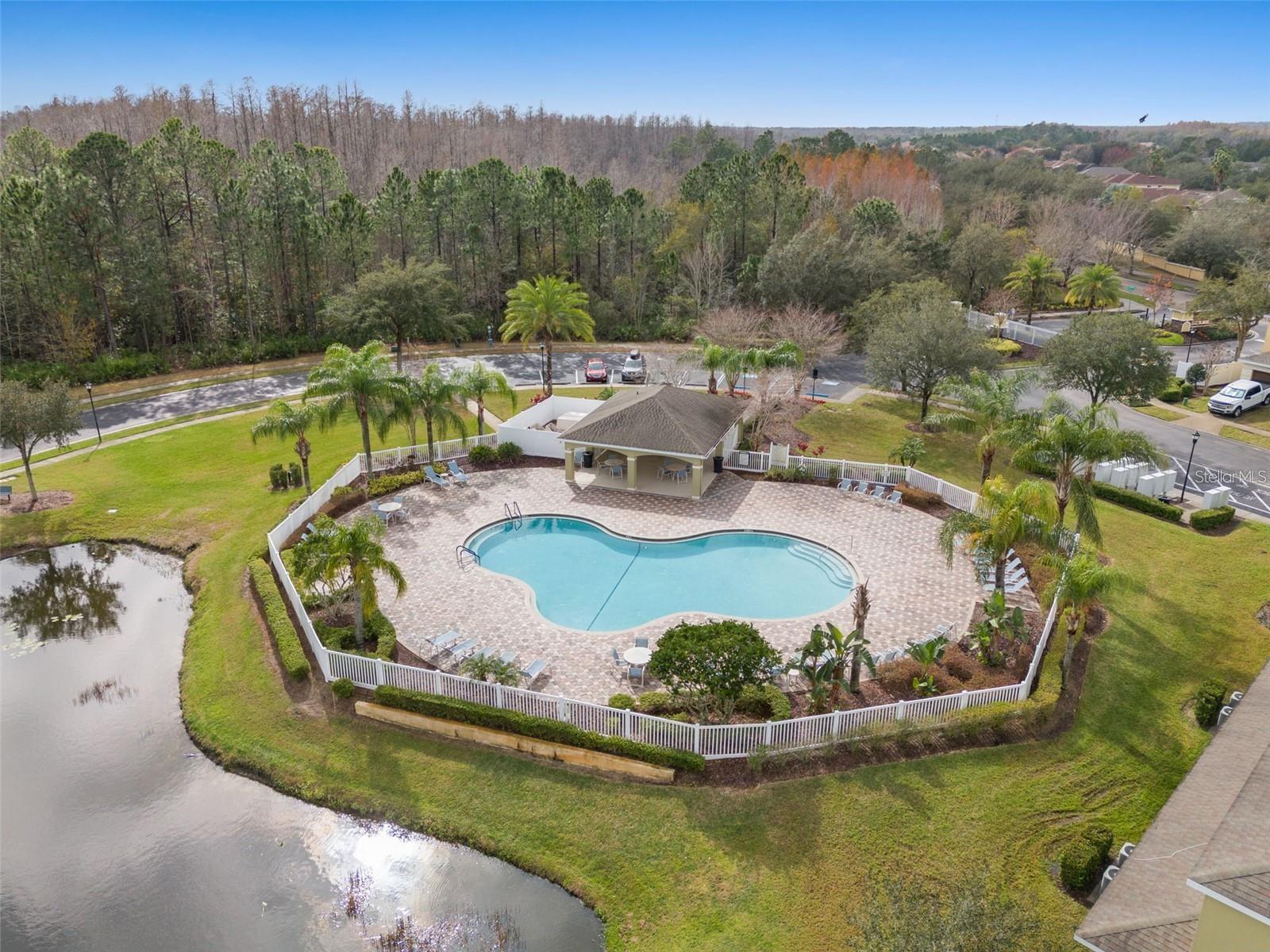 20414 BERRYWOOD LN, TAMPA, FL, 33647