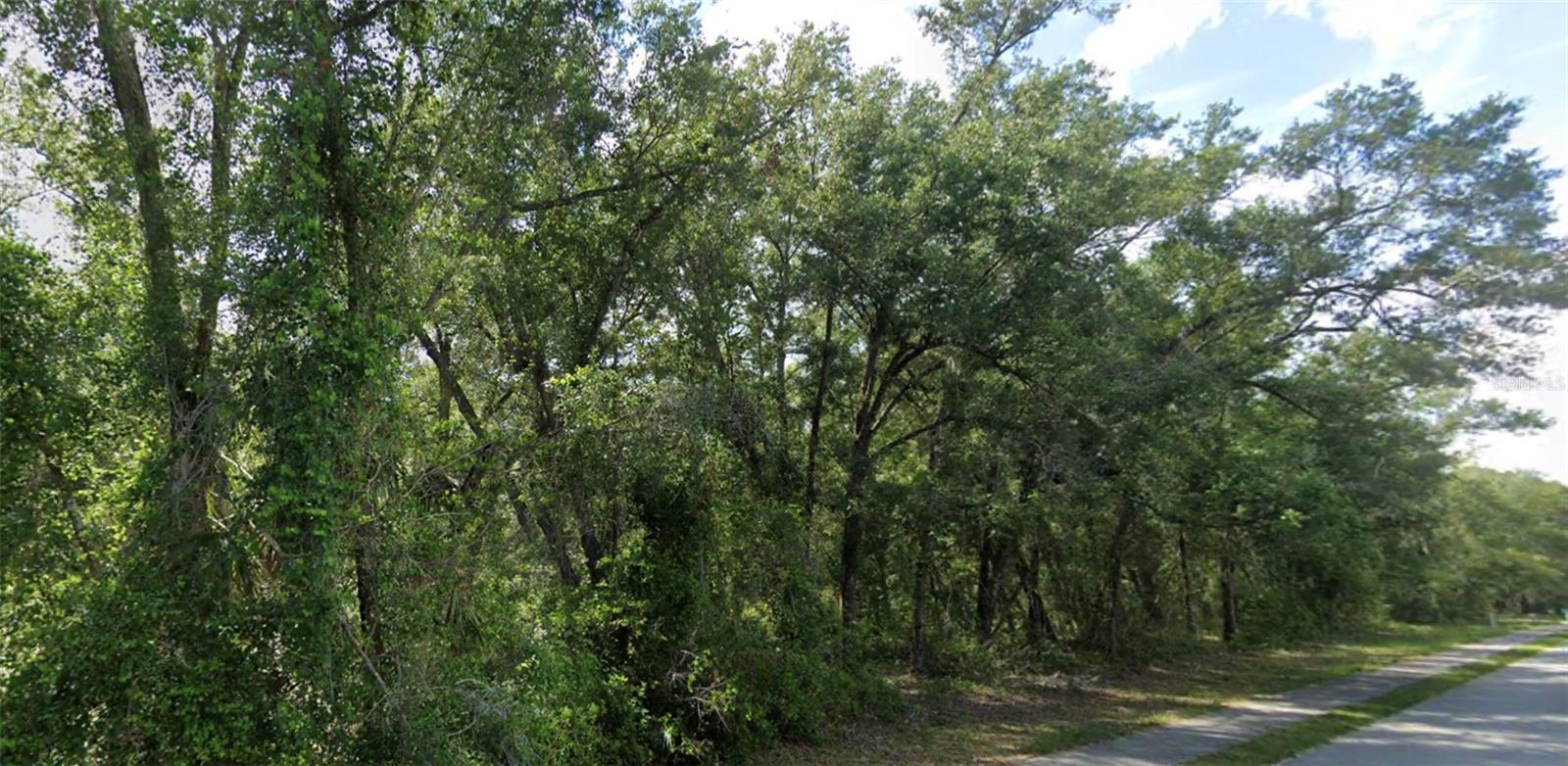 CHURCH ST, LAKE HELEN, FL, 32744