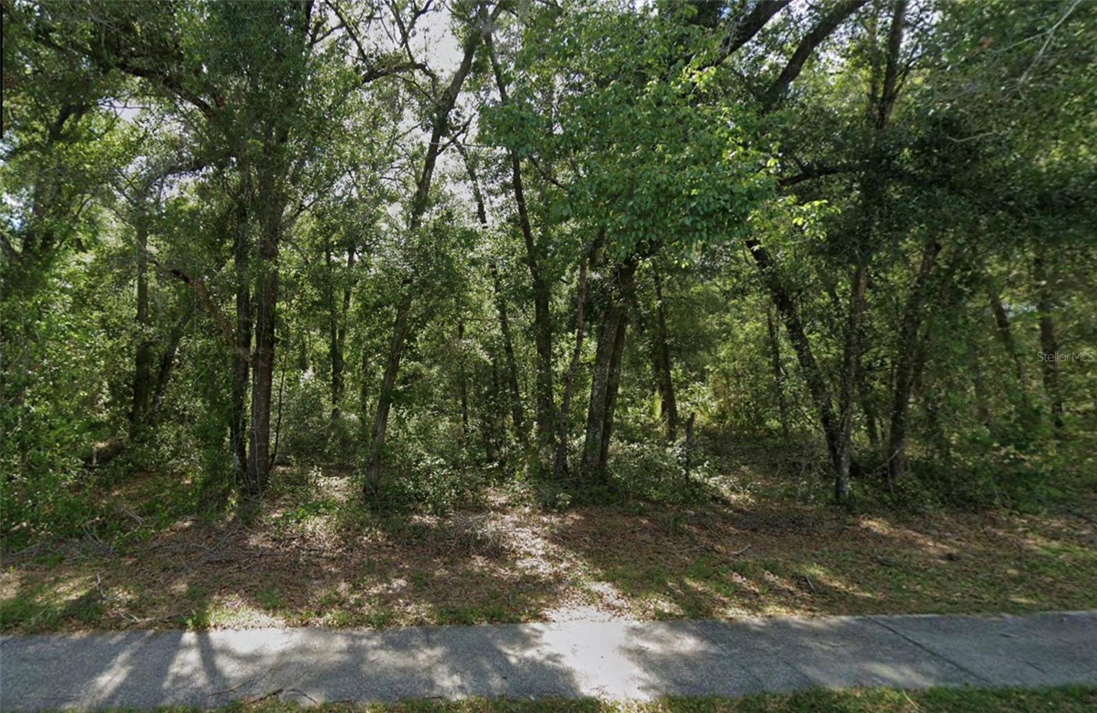 CHURCH ST, LAKE HELEN, FL, 32744
