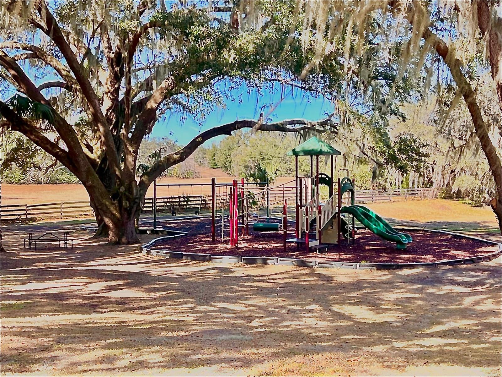 24728 CALUSA BLVD, EUSTIS, FL, 32736