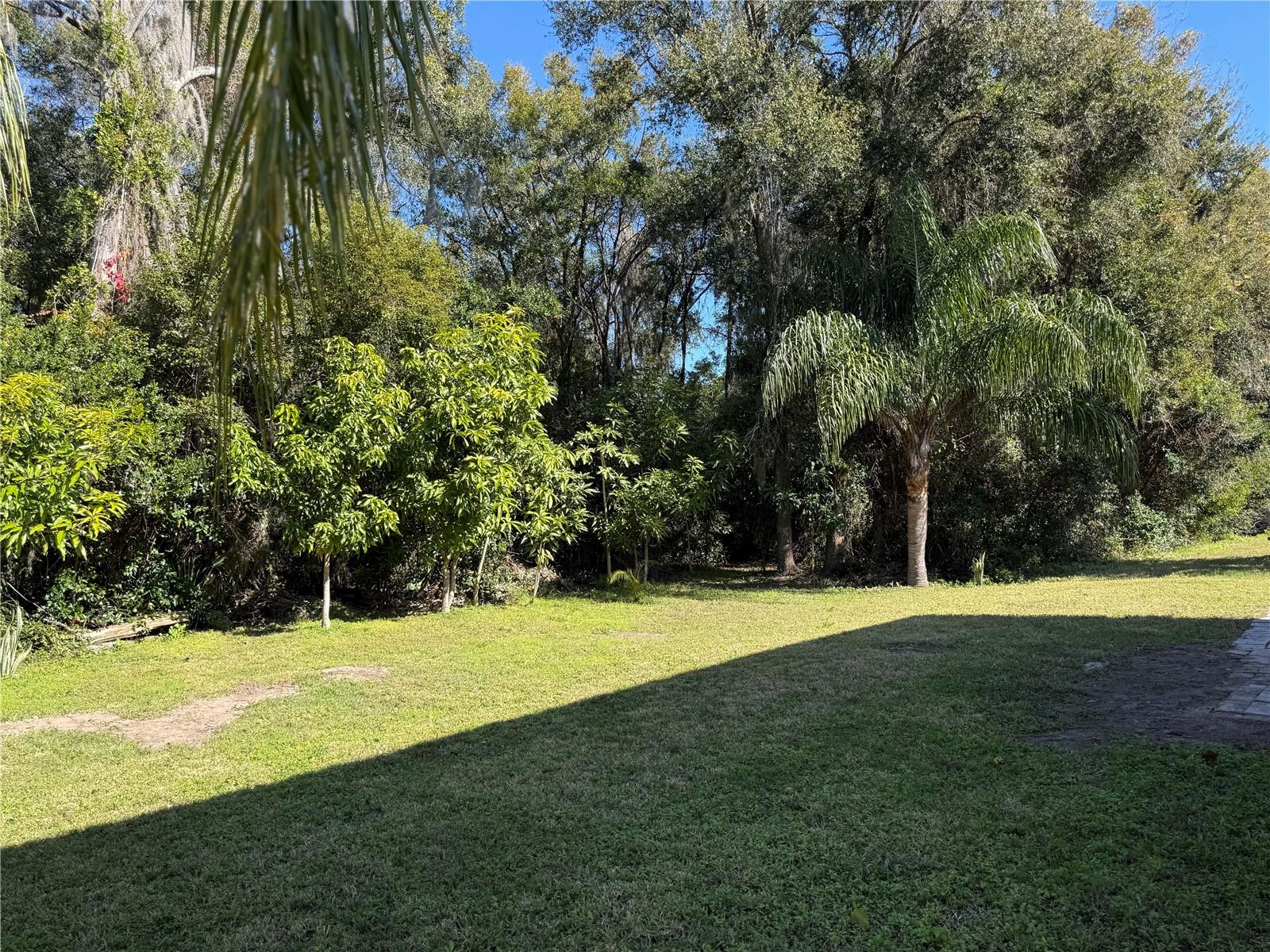 119 NO NAME KEY DR, DELAND, FL, 32720
