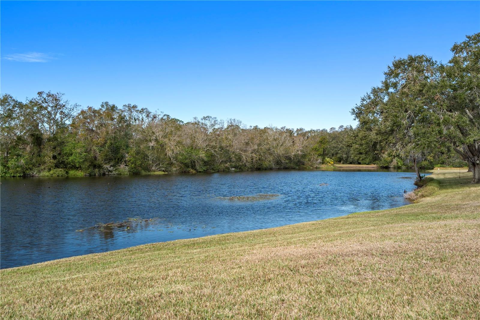 4320 MIDDLE LAKE DR, TAMPA, FL, 33624