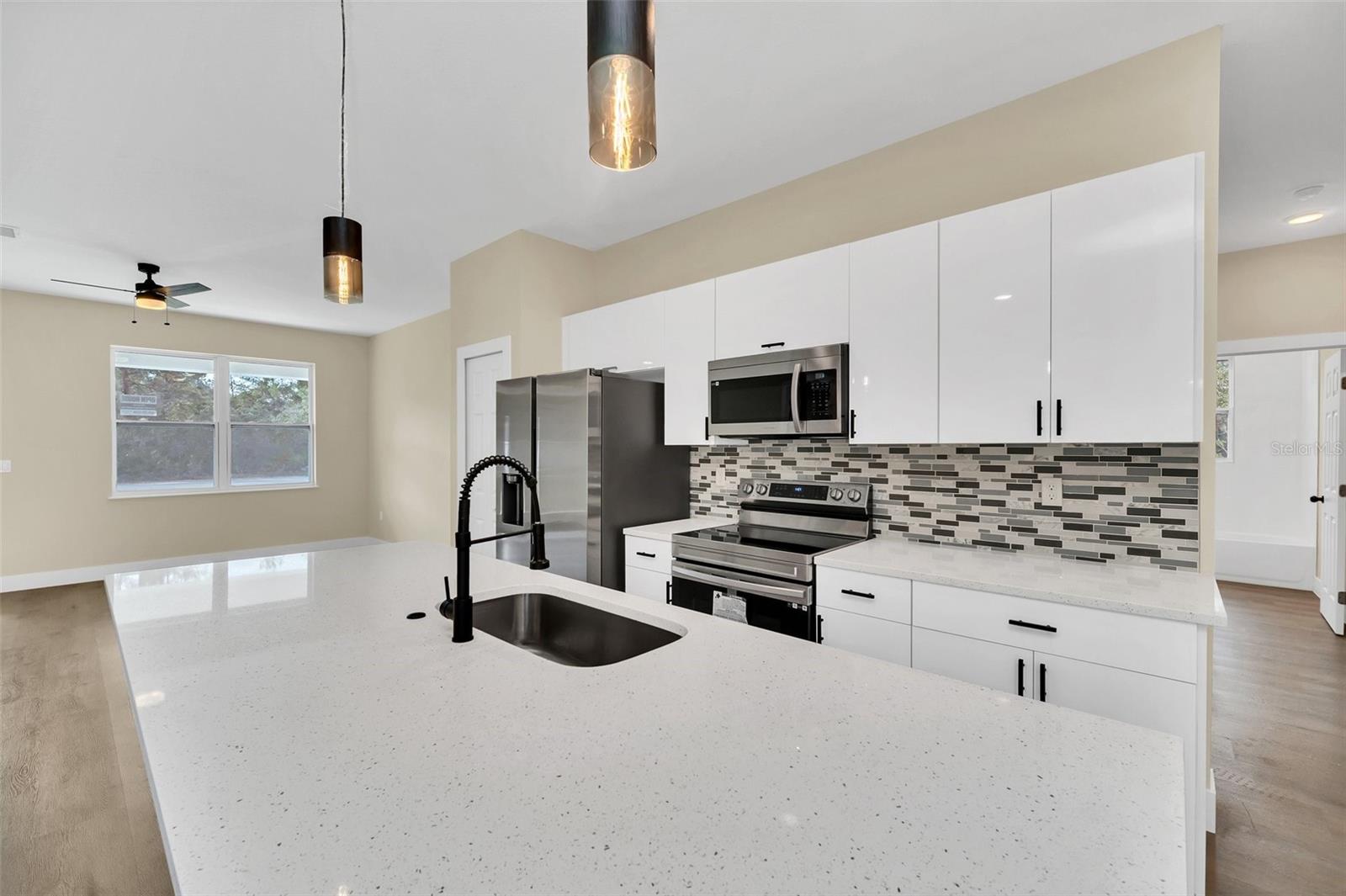 18 MALAUKA PASS TER, OCKLAWAHA, FL, 32179