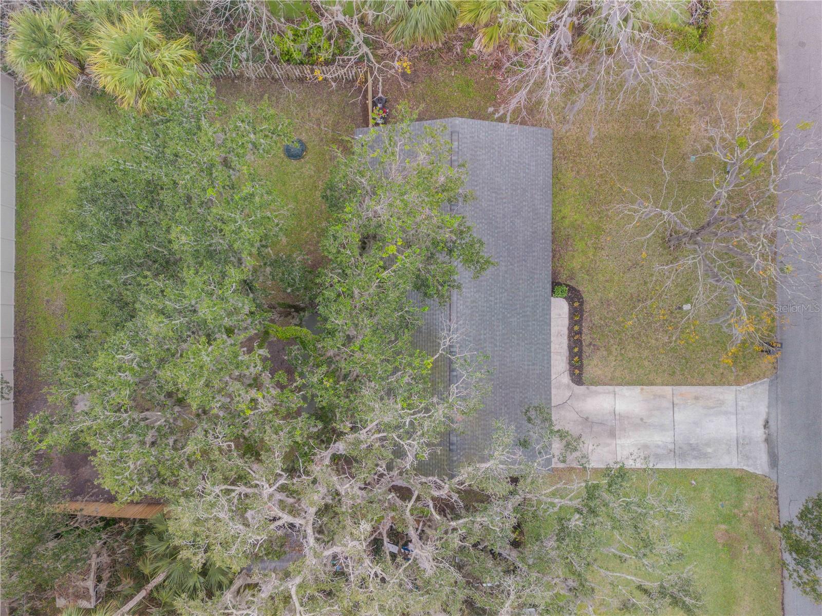 1622 PINE TREE DR, EDGEWATER, FL, 32132
