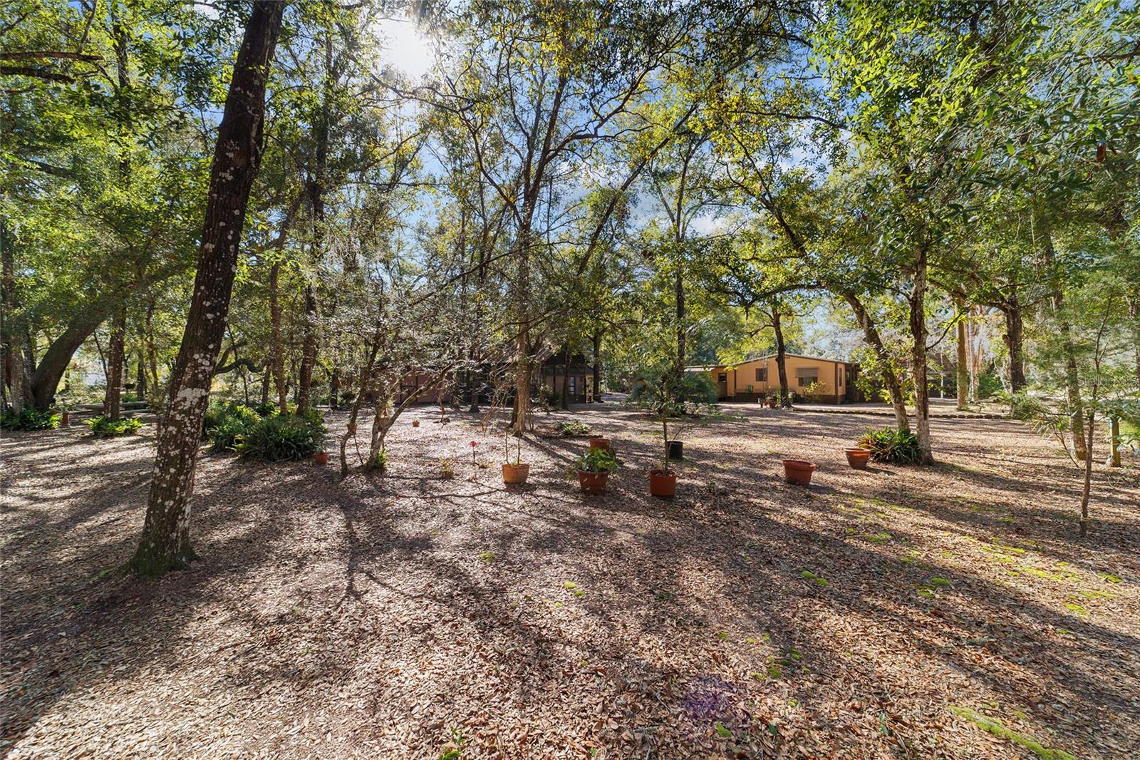 13168 NE 19TH LN, SILVER SPRINGS, FL, 34488
