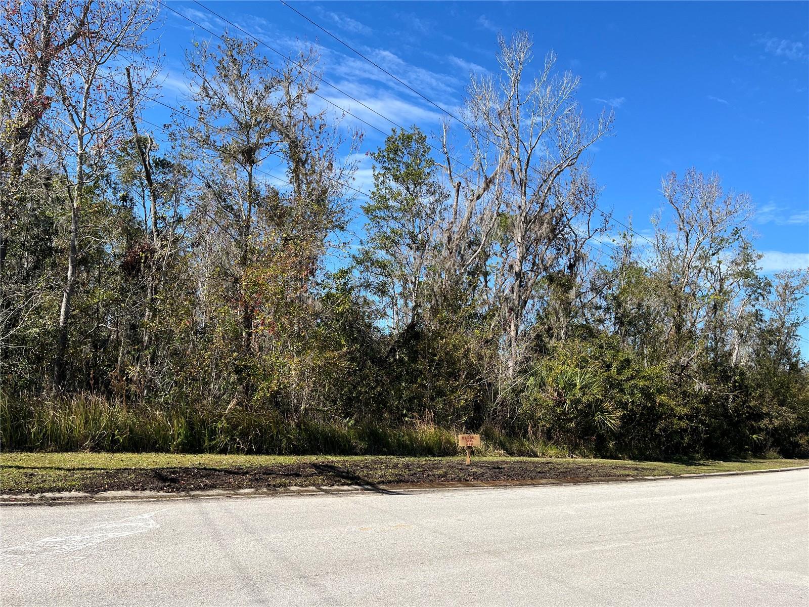 11503 DONNEYMOR DR, RIVERVIEW, FL, 33569