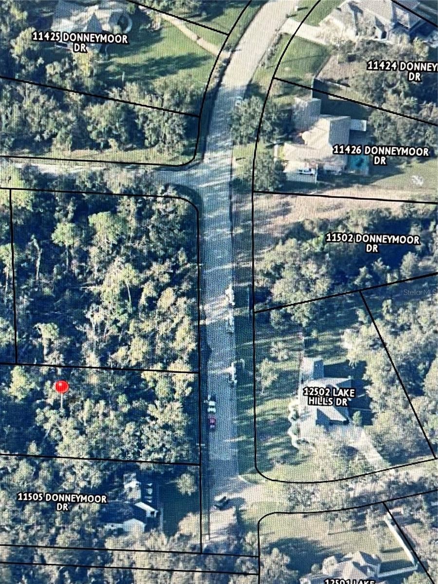 11503 DONNEYMOR DR, RIVERVIEW, FL, 33569