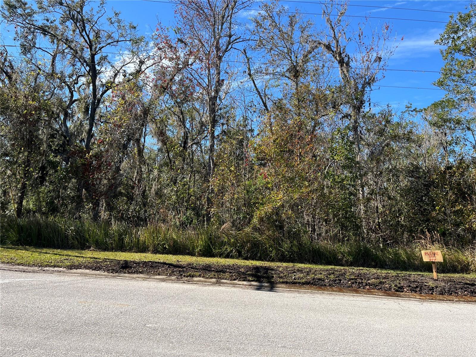 11503 DONNEYMOR DR, RIVERVIEW, FL, 33569