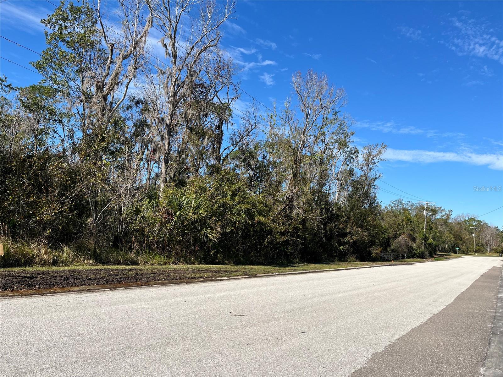 11503 DONNEYMOR DR, RIVERVIEW, FL, 33569
