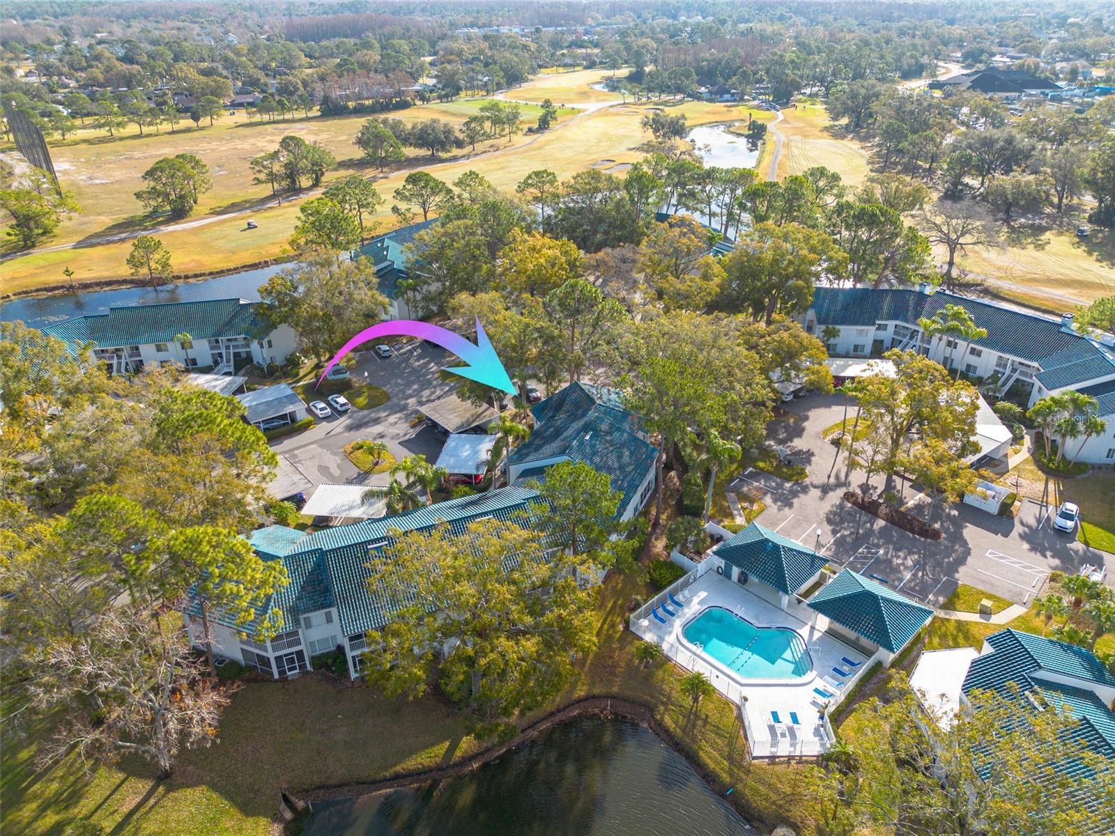 3578 INDIGO POND DR, PALM HARBOR, FL, 34685