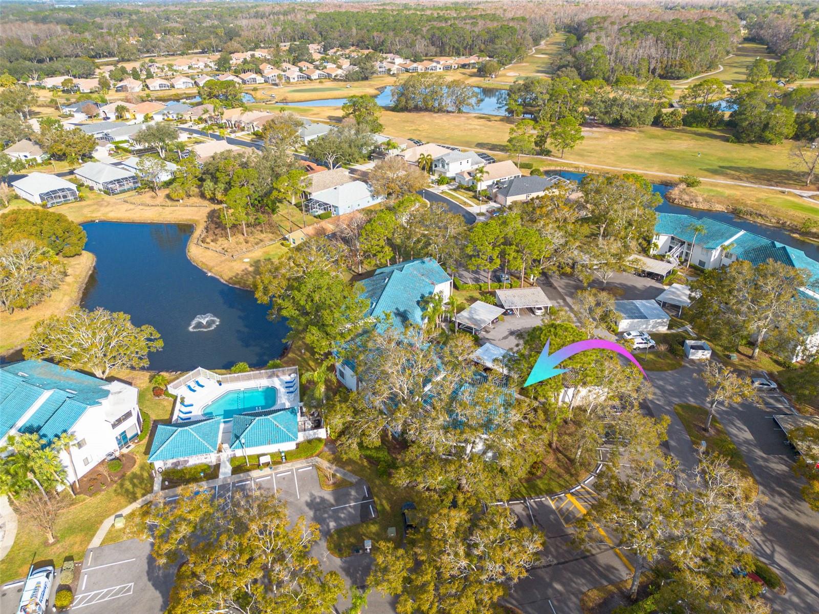 3578 INDIGO POND DR, PALM HARBOR, FL, 34685